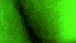 amateurs create fun homemade videos showcasing their daily adventures and creative projects