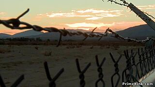 The tied thief gets roughly banged by a man with a big cock.