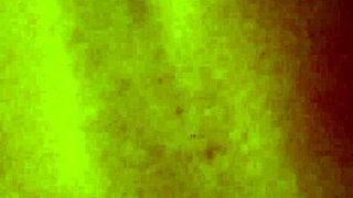 Casual gay video from 2014 😊