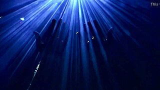 I cherish teenies' cumshot facials in the night compilation.