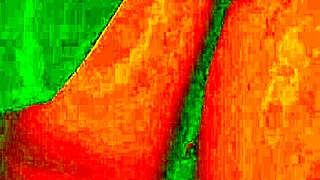 Is my mother-in-law's big ass too tempting?