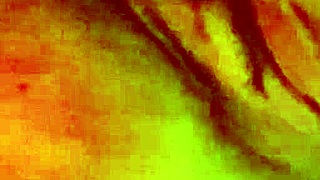 I enjoy solo play with toys until orgasm