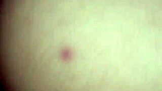 melissa, show your hairy pussy?