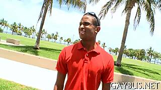 I enjoy watching this free homosexual porn clip.