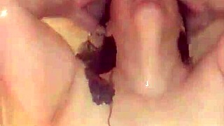 daily blog entry number four