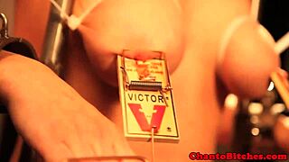 blonde submissive gets mousetraps clamped by mistress in bondage
