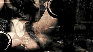 my secret life features vintage interracial beaver scenes