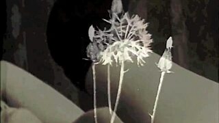 Vintage Bisexual Lesbians Explore Antique Hairy Scenes