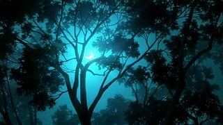 mahoutsukai no yome episode 01 with subtitles