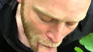 Scandic pleasure enjoys a blowjob in the forest