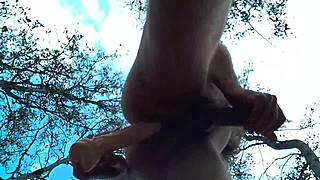 gay gringo takes dildo in ass outdoor forest