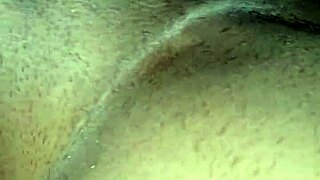 Exploring gay interests and lifestyles