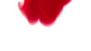 He ate my ass until prolapse