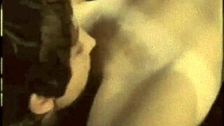 two centuries of vintage cumshots in antique beaver scenes