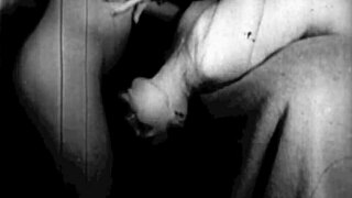 two centuries of vintage cumshots in antique beaver scenes