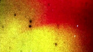 Black tgirl DLondonns back with huge tits and handjob