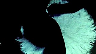 Old school porn, hairy pussies and deepthroat blowjobs