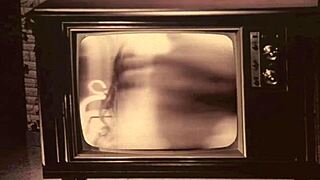 vintage film from the swinging sixties featuring hairy pussy