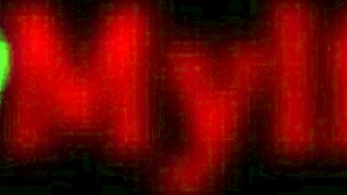 hey, see blonde milf anita blue get wild with new boyfriend?