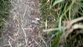 Wanna join 4 hung Brazilian teens for a wild orgy in the woods?