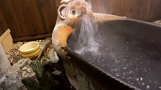 With the mouth of a raccoon in a cute Japanese bathroom massage