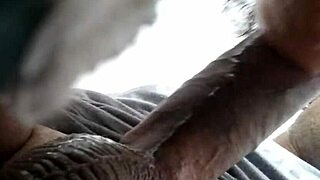 Chubby Redwood battles Ms Mowett in an intense match.