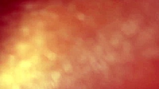 Essa novinha tem a bunda mais gostosa do xvideos e ainda bebe leite