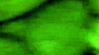 Hdvwm047 1-121 milf deepthroats monster cock for facial cum