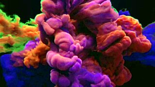 Husband Dives Into Juicy Pussy