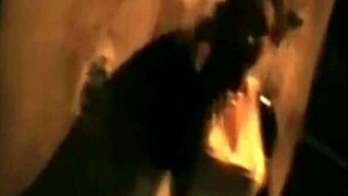 south american transgender miss t story