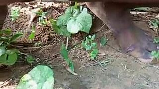 i had epic style romantic sex outdoors with my mature partner bent over doggystyle