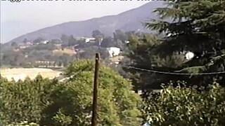 Emotional Neighborhood Foursome.