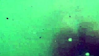 i say, 'let's have bareback sex at the hotel and beach'