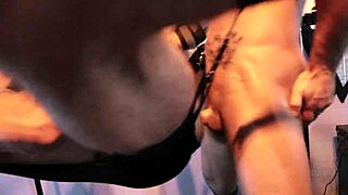 Roman todd pierce paris alpha wolfe stretch with dildos bound