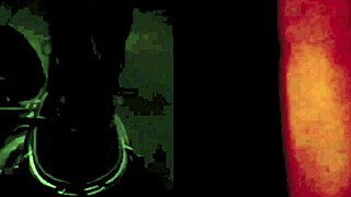 Vintage steam age hairy pussy