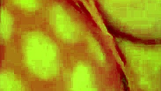 Is Angelg and Kuzz's Halloween Special Featuring Big Black Cock Action?