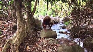 Does Don Whoe get sloppy head from Nina Rivera?