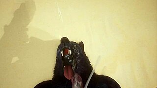 pov two gay wolves mating in wildlife