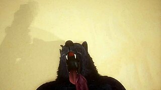 pov two gay wolves mating in wildlife