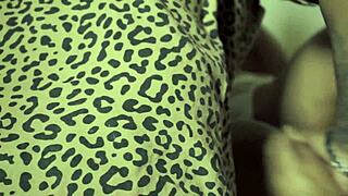 Exploring the behind-the-scenes world of adult entertainment interviews.