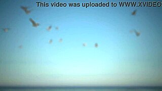 Oily babe gets pussy pounded at the beach in 3D animation.