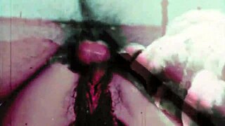 Vintage Taboo Pussy Play with Retro Doggy Style Action