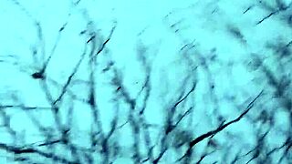 Blonde in glasses meets monster cock at airport