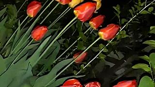 Invited Neighbor To Admire Flowers Then Fucked Her Mouth For Orgasm