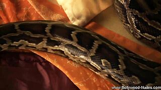 Seductive Indian MILF seduces man with dancing and striptease.