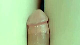 “为我跳舞吧，娘娘腔小猫咪！”