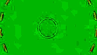 Cherry Kiss takes Renato's huge cock deep in ass