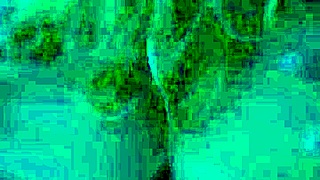 Collection of naughty sex with my big-dicked husband