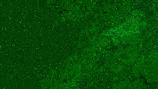 牛仔裤湿透了脸上接黄金圣水