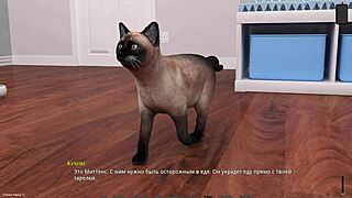 complete gameplay of knockout master part sixteen